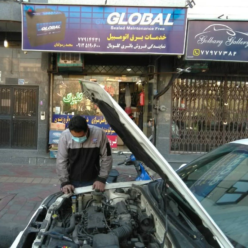 باتری سازی گلبرگ